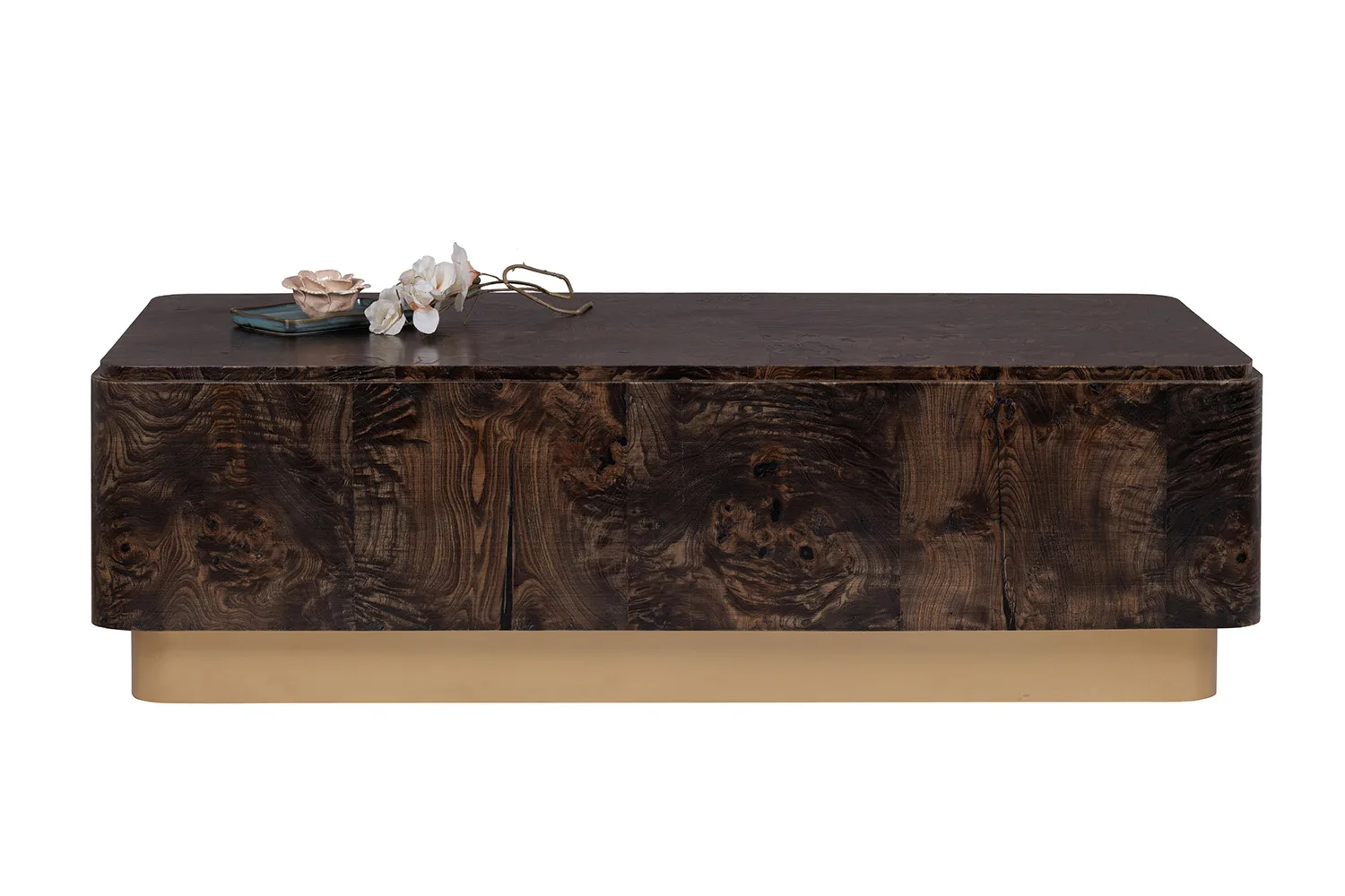 BROWN VENEER Coffee table, main view
